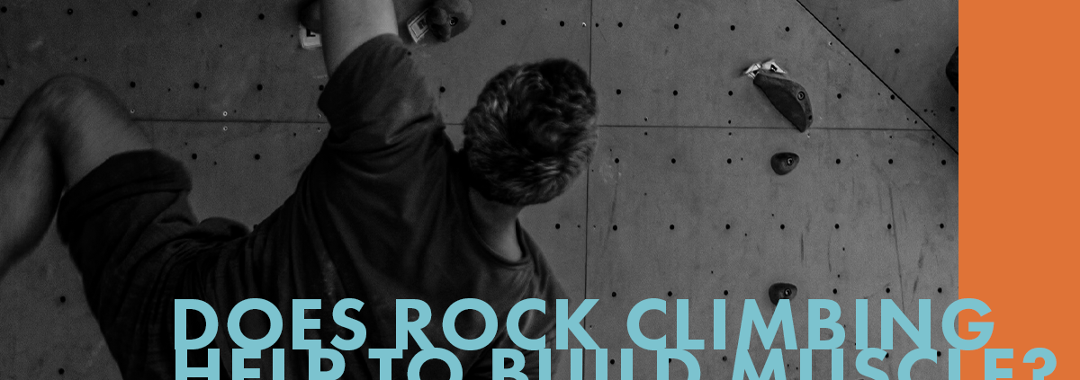 Does Rock Climbing Help to Build Muscle?