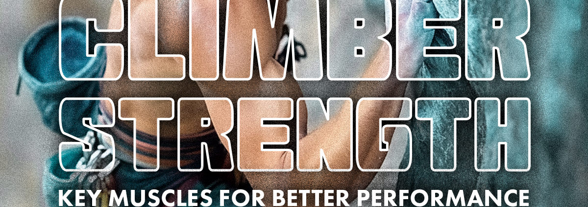 BH_RS_Climber Strength